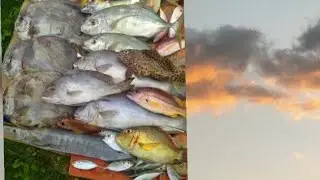 TERNYATA SARANG IKAN SEMUA MEMANG BEDA PULAU BATAM