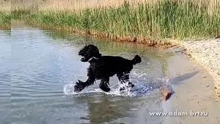 Inwater BRT motion * Водяные РЧТ движения