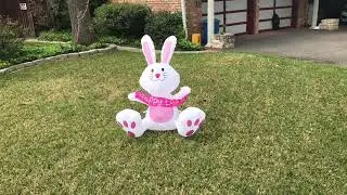 Renew You - Happy Easter
