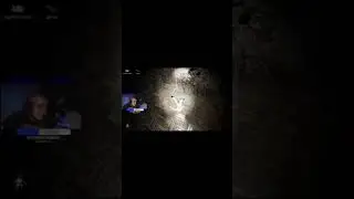 Это просто шедевральная игра.