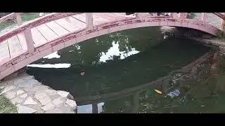 БАТУМИ - ЭТО ГОРОД 50 ОТТЕНКОВ ЗЕЛЕНОГО, 🇬🇪