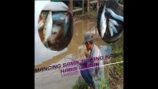 mancing sama tukang kasih habis umpan