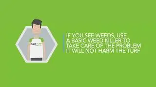Fake Grass Real Talk: Weeds