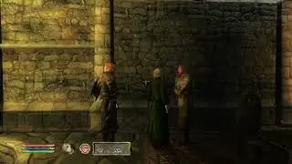 Oblivion Greybeards