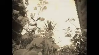 Random FLS song