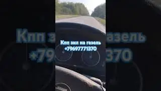 18 июня 2024 г.