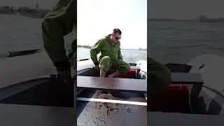 ПВХ лодка Альтаир 
