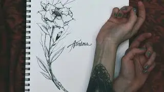 How to stop anxiety!