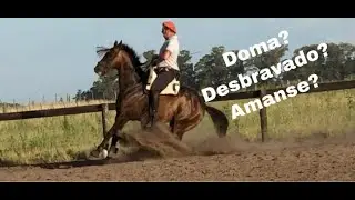 Desbrave o Amanse es Doma?