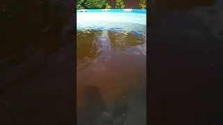 Getting the pool ready for summer. Fill the pool with river water.