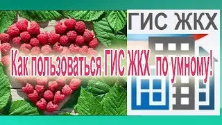Как пользоваться ГИС ЖКХ по умному. Союз ГИС ЖКХ  и Малина 2.0