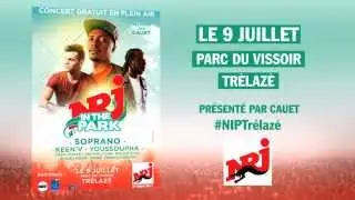 NRJ IN THE PARK à TRELAZE (49) le 9 juillet 2015