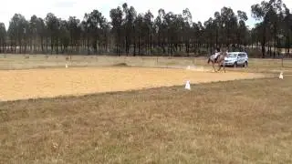 Bitless dressage