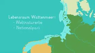 Ein Tag im Wattenmeer einfach erklärt | sofatutor