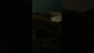 IMG 1822