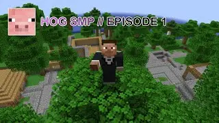 the Hog SMP // episode 1