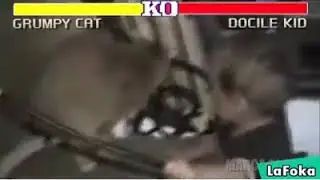 Peleaaaaaaaaa, jajajaja
