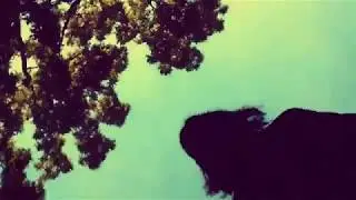 The Diamond Trip - Duality In The Light
