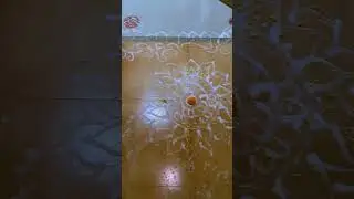 1st manabasa gurubar 2023
