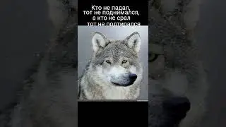 перезалив 