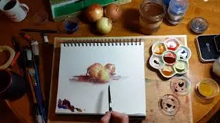 Onion Watercolor time lapse | Watercolor with Hollis