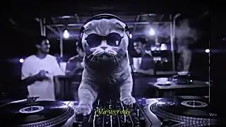 DJ LILIN LILIN PUTIH SLOW BASS MAKIN LAMA MAKIN ENAK VIRAL DI TIKTOK 2025