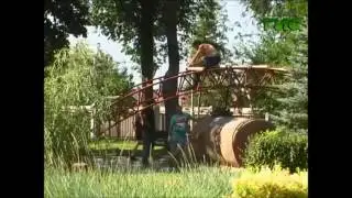 фестиваль уличной культуры StreetArtFest