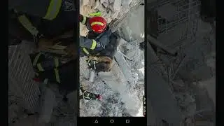 فرق الإنقاذ من الحماية المدنية الجزائرية @