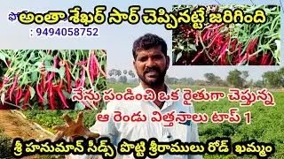 Chilli seeds in telugu |Mirapa vithanalu|Mirchi market|Mirchi seeds in telugu|Chilli farming telugu