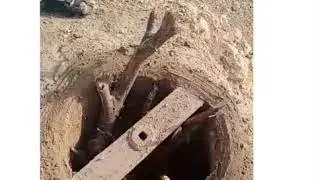 Balochi Sajji VloG Presenting In You Mr.Rehmatullah Balochi traditional Food Sajji