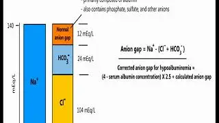 Understanding Anion Gap in 5 minutes