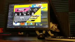 chloe tries to kill mighty the armadillo
