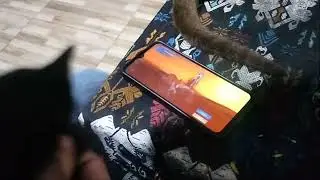 HOKI BANGET INI KUCING GACH EVENT TRANSFORMERS MOBILE LEGEND