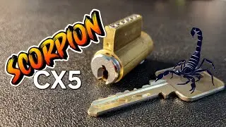 Scorpion CX5 picked fast and gutted