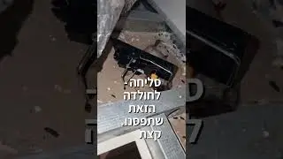 הדברת חולדות בבית - הפעם באמצעות מלכודות קפיץ (כולל לכידה)!