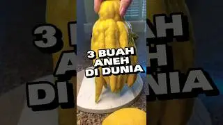3 Buah Aneh Di Dunia!!