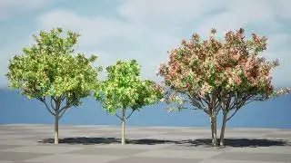 Loquat Tree 3D animation in unreal engine