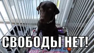 РЕШЕНИЕ ПРОБЛЕМЫ! Что я откопала?