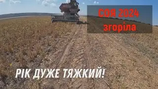 СОЯ СЕЗОНУ 2024 ЗГОРІЛА! Соняшника не буде?  ЗАПУСТИВ БОРОНУ GENERAL!