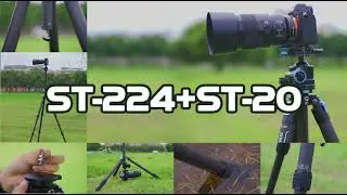 Sirui ST-224+ST-20 Carbon Fibre Tripod WPS with Ballhead