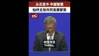 Unveiled: China's Wisdom in Shaping a Global Future 