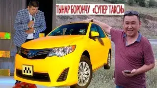 ТЫНАР БОРОНЧУ 