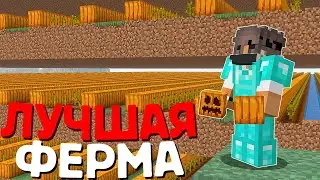 This Farm Makes Millions an Hour on Minecraft Anarchy