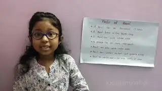 Amazing facts of Pencil