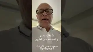 طريقة تغذية الطيور الصغار