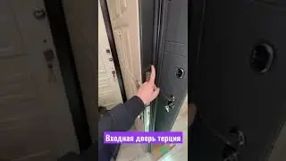 Входная дверь терция