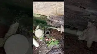 Drainmax Cleaner ഒന്ന് പരീക്ഷിച്ചു നോക്കിയതാ Pvc Pipe Block Problem solved വേസ്റ്റ് പൈപ്പ് ബ്ലോക്ക്