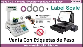 Leer Codigos de barra de Bascula TM20 con Odoo Pdv, Odoo POS sin IOTBOX, conexion directa de bascula