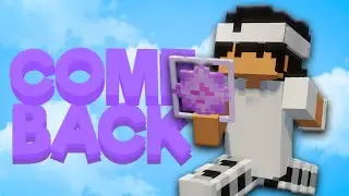 My Comeback To The Donut SMP...