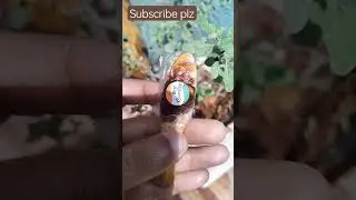 yummy yummy khtii Emli😊😊#viral #youtubeshorts #chocolate #veervlogs